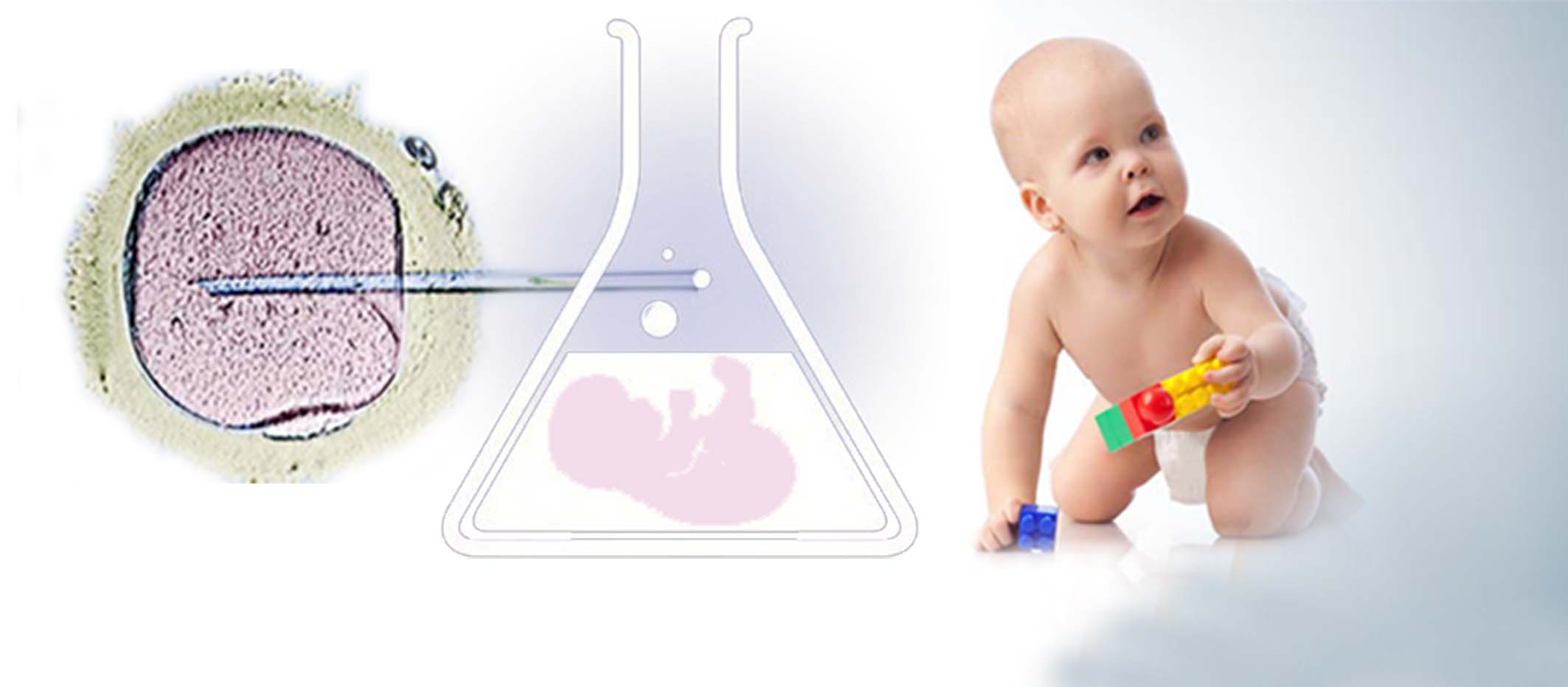 专业供卵代孕公司