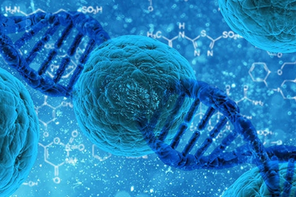 中介自然孕代妈