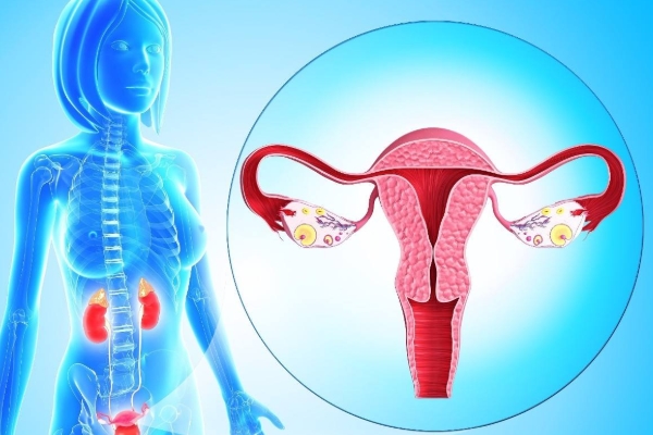 中国人到印度代孕