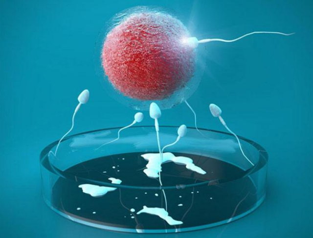 东莞试管婴儿医院