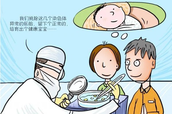 个人亲子鉴定价格