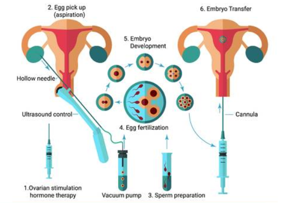 不怀孕初期症状