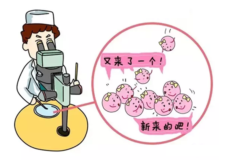 不怀孕初期症状